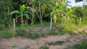 Land With House for Sale in Anuradhapura