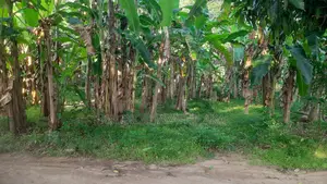 Land With House for Sale in Anuradhapura
