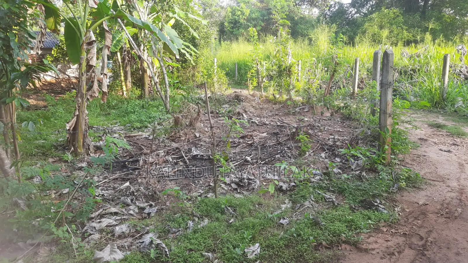 Land With House for Sale in Anuradhapura