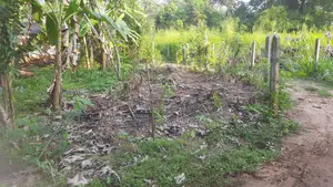 Land With House for Sale in Anuradhapura