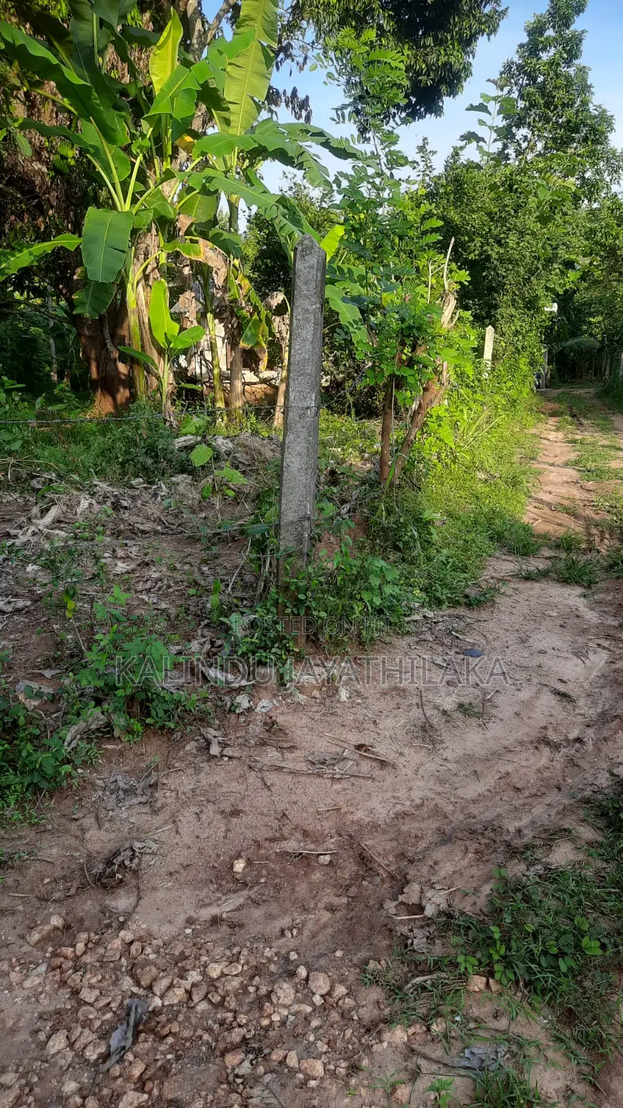 Land With House for Sale in Anuradhapura