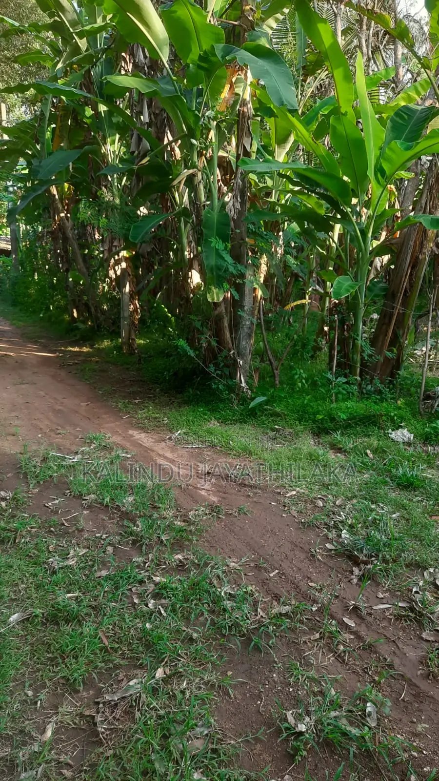 Land With House for Sale in Anuradhapura
