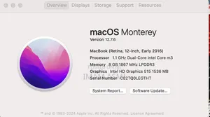 Laptop Apple MacBook 2015 8GB Intel Core M3 SSD 256GB