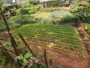 Land for Nuwara Eliya