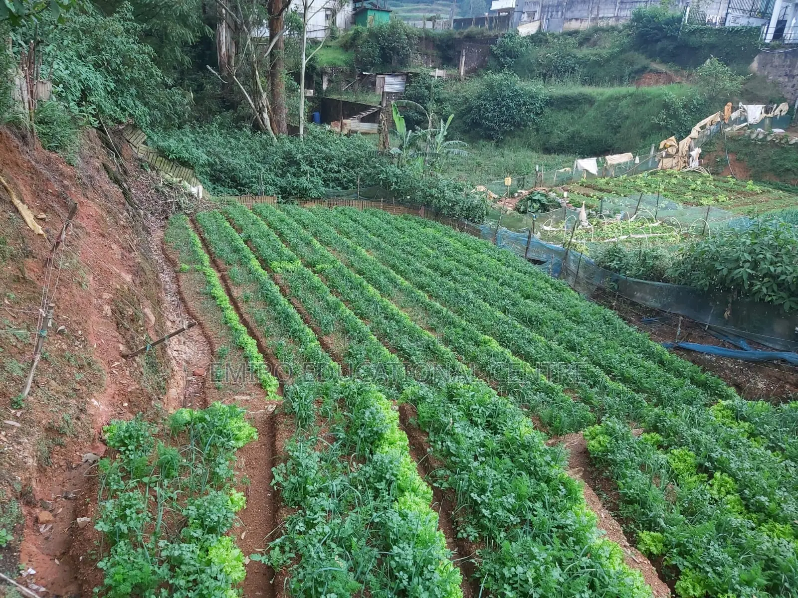 Land for Nuwara Eliya