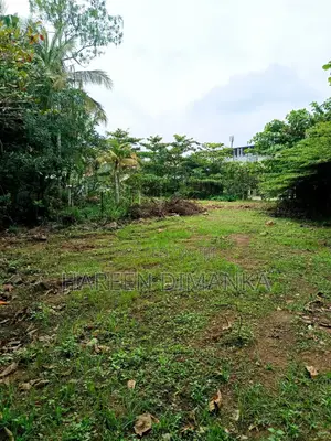 Land for Sale in Galle Dangedara