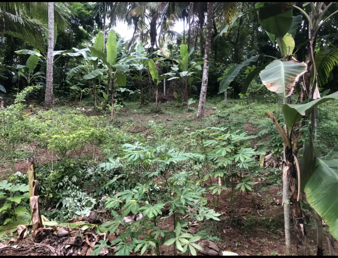 Land for Sale in Kadawatha
