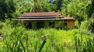 4bdrm House in Middeniya, Angunakolapellessa for sale