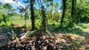 4bdrm House in Middeniya, Angunakolapellessa for sale