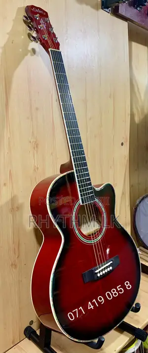 Brand New Calao Acoustic Guitars (Size 39") for the Best Price in Sl