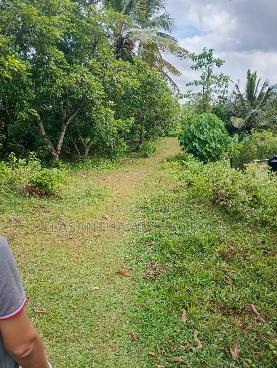 උඩමාපිට්ගම පිහිටි ඉඩම විකිණීමට Land for Sale in Udamapitigama