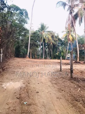 Gampaha Weliweriya