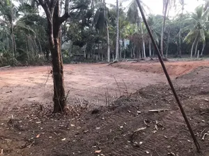 Gampaha Weliweriya