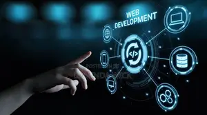/ Website Design Development