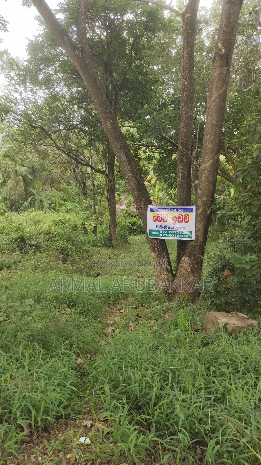 Land for Sell
