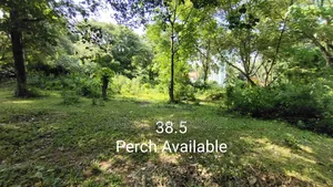 Land for Sell