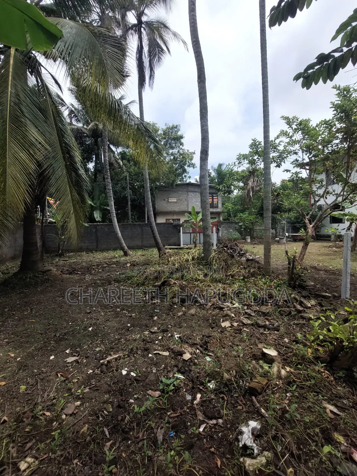 Land for Sale