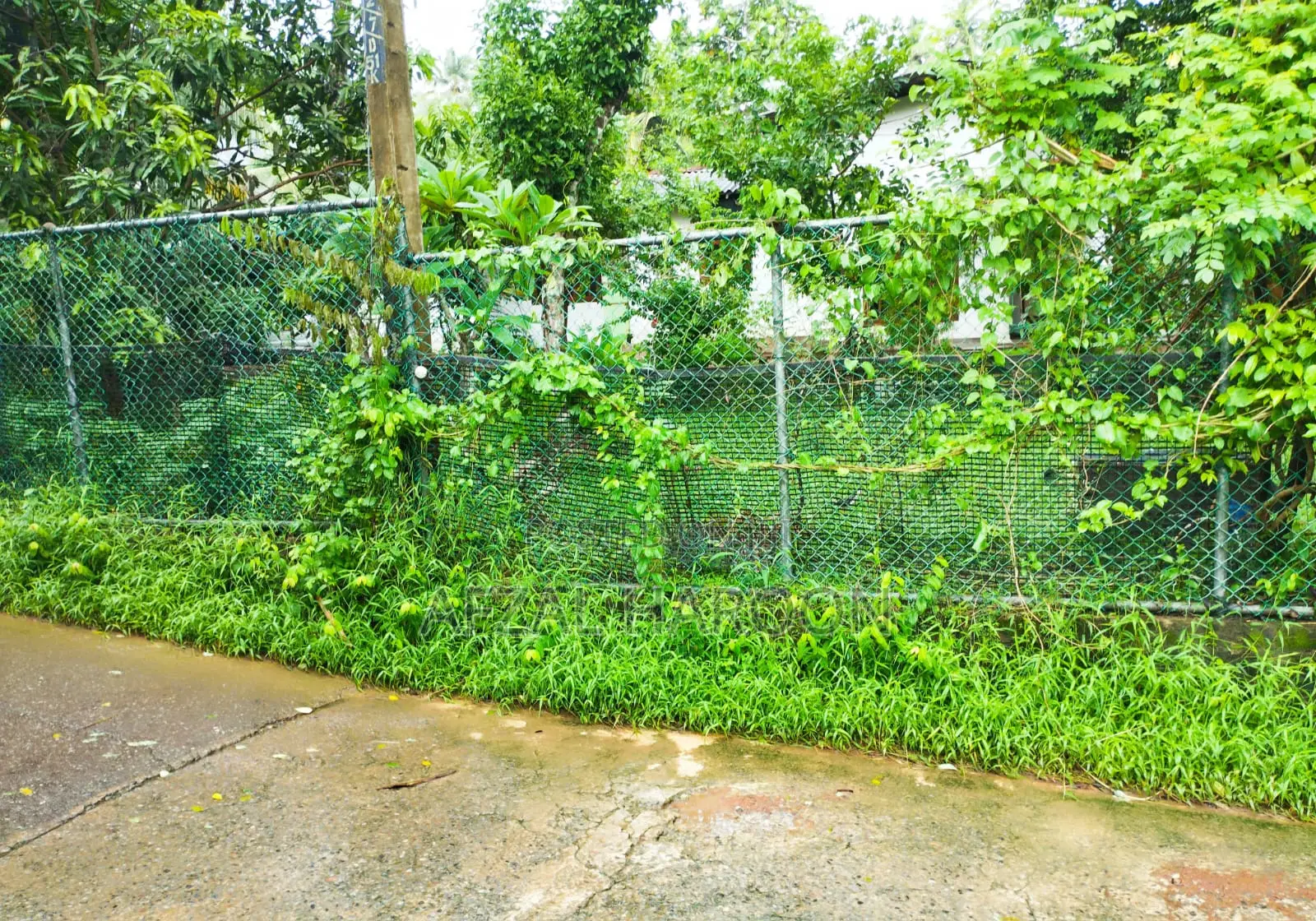 12 Perchase Land for Sale in Kadawatha