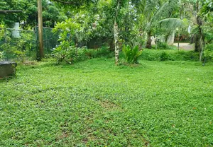 12 Perchase Land for Sale in Kadawatha