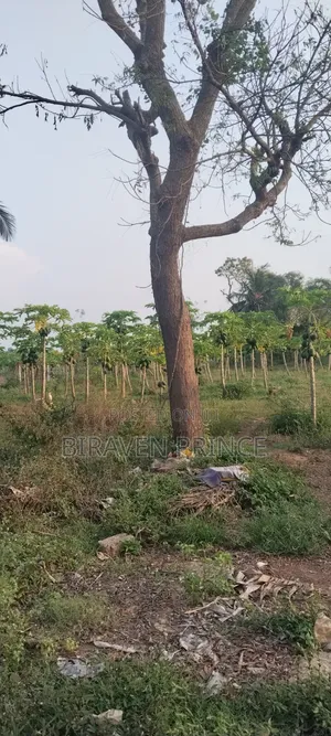 Landfor Sale