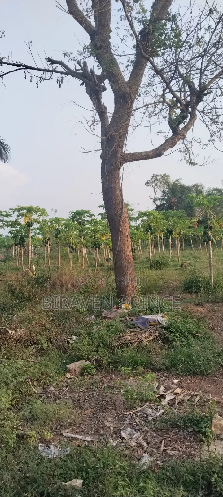 Landfor Sale