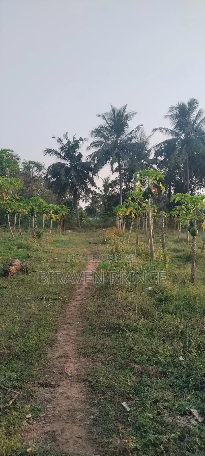 Landfor Sale