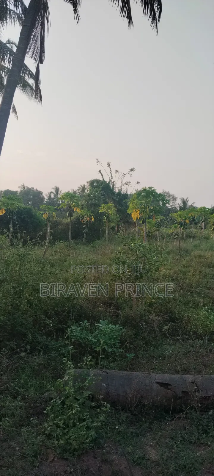 Landfor Sale