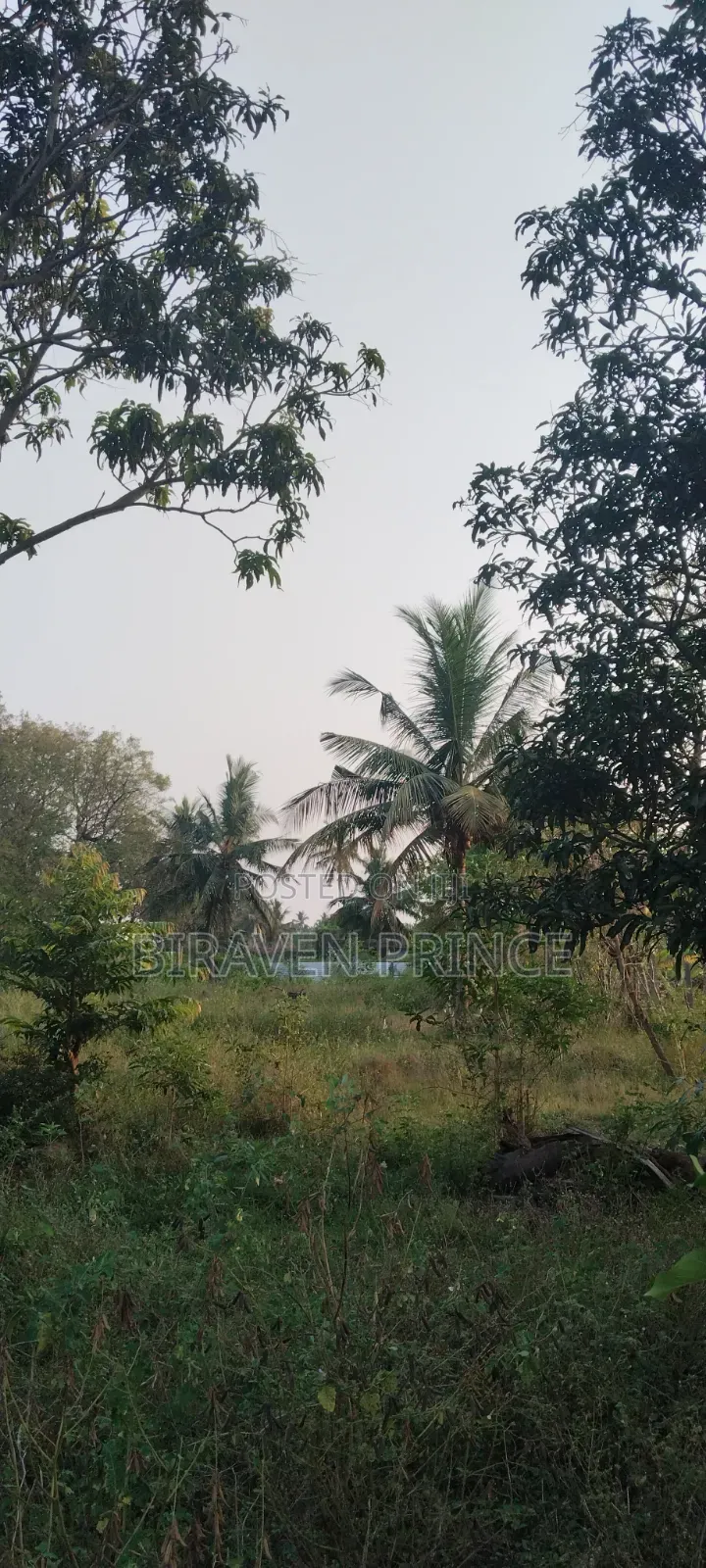 Landfor Sale