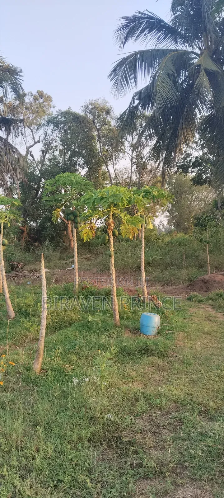 Landfor Sale