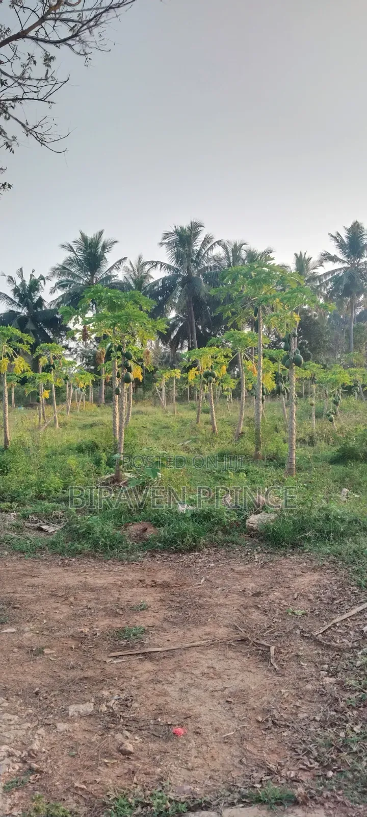 Landfor Sale