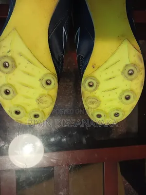 Kalenji Spike