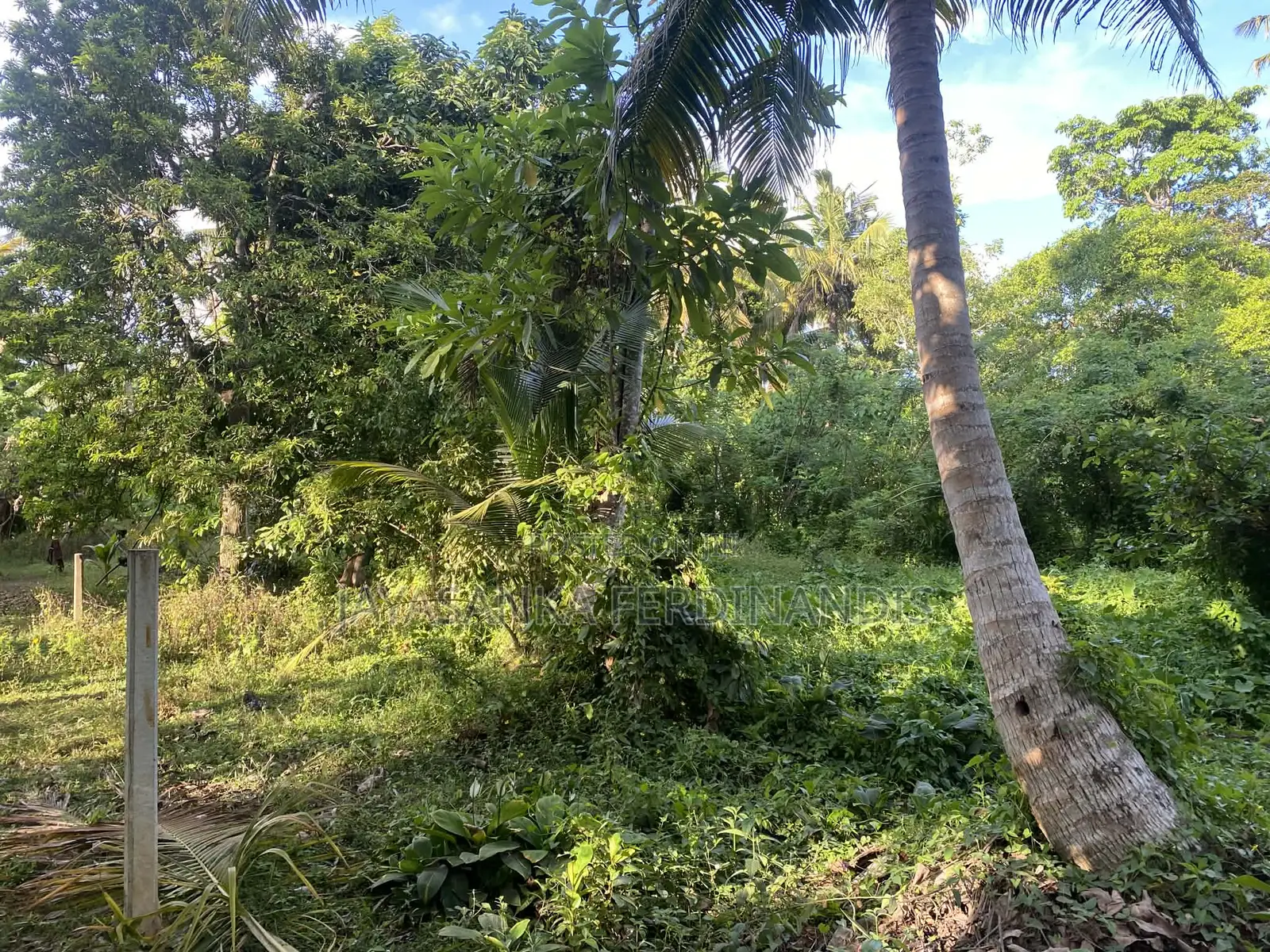 Land Sale in Ahngama