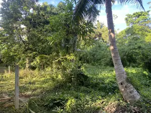 Land Sale in Ahngama