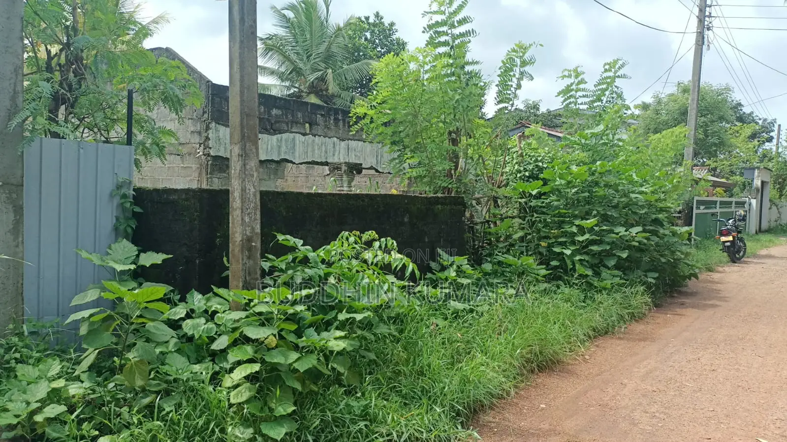 Koralaima Land