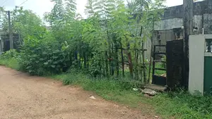 Koralaima Land