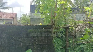 Koralaima Land