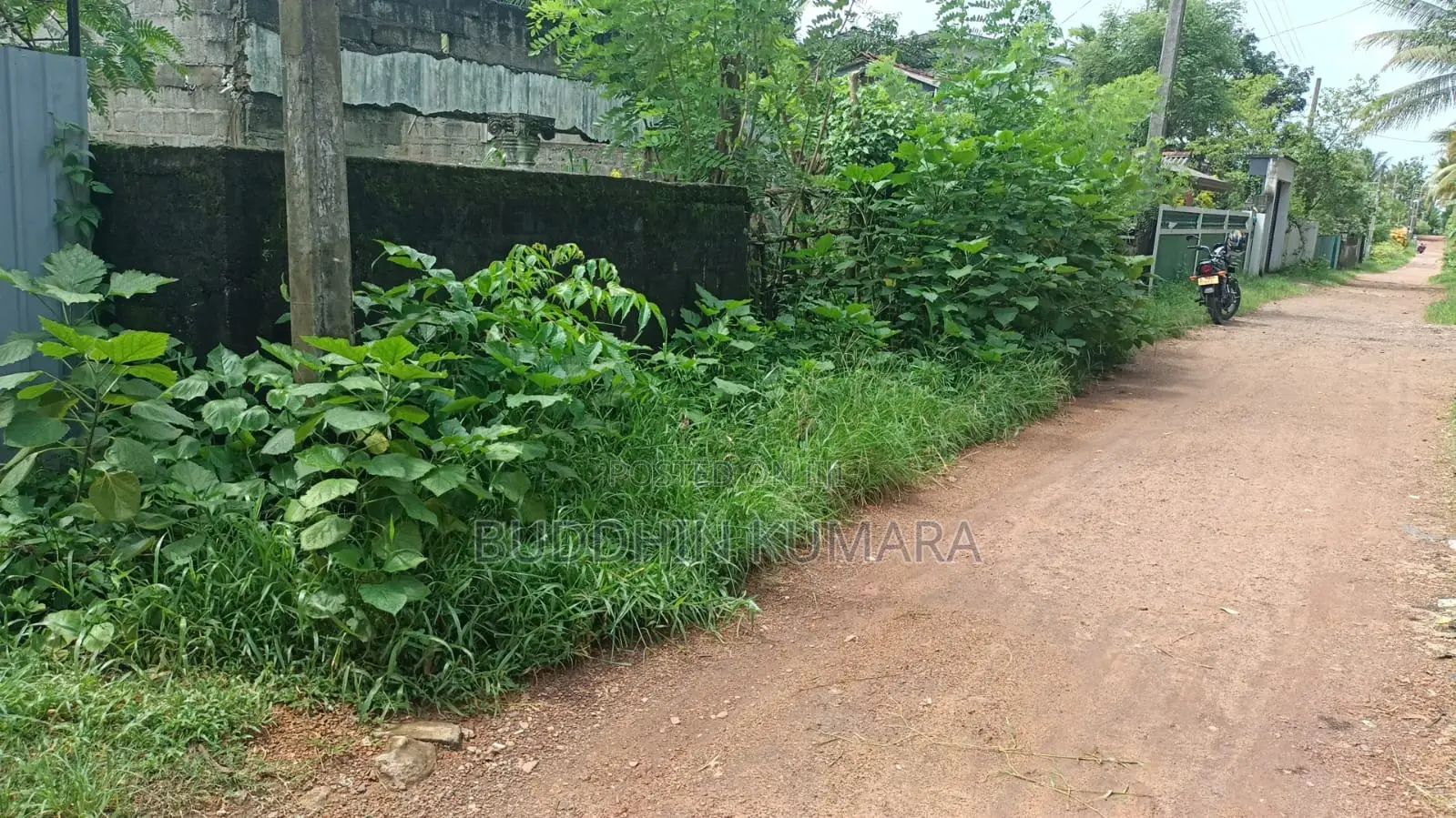 Koralaima Land