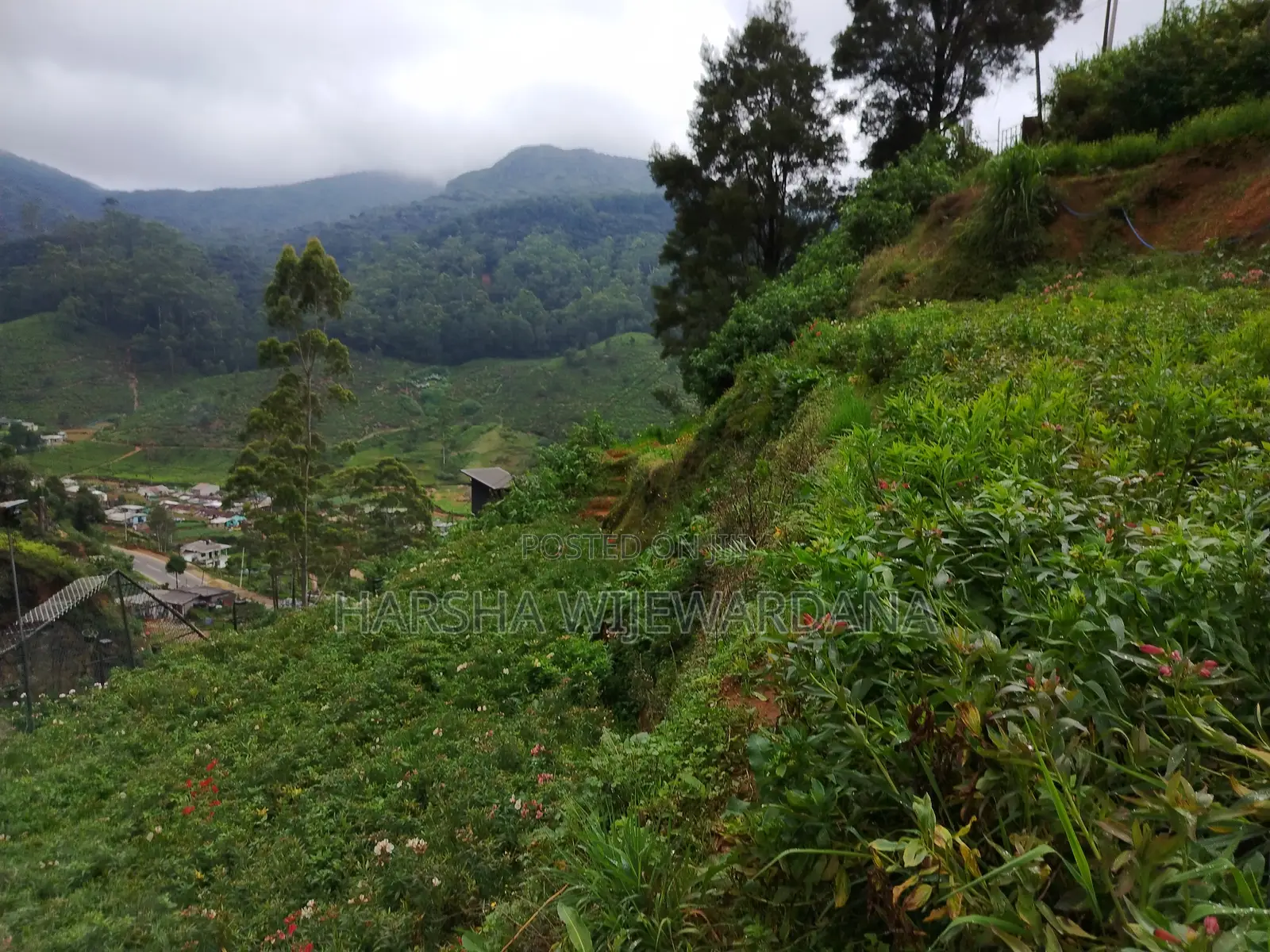 Land for Sale Nuwara Eliya