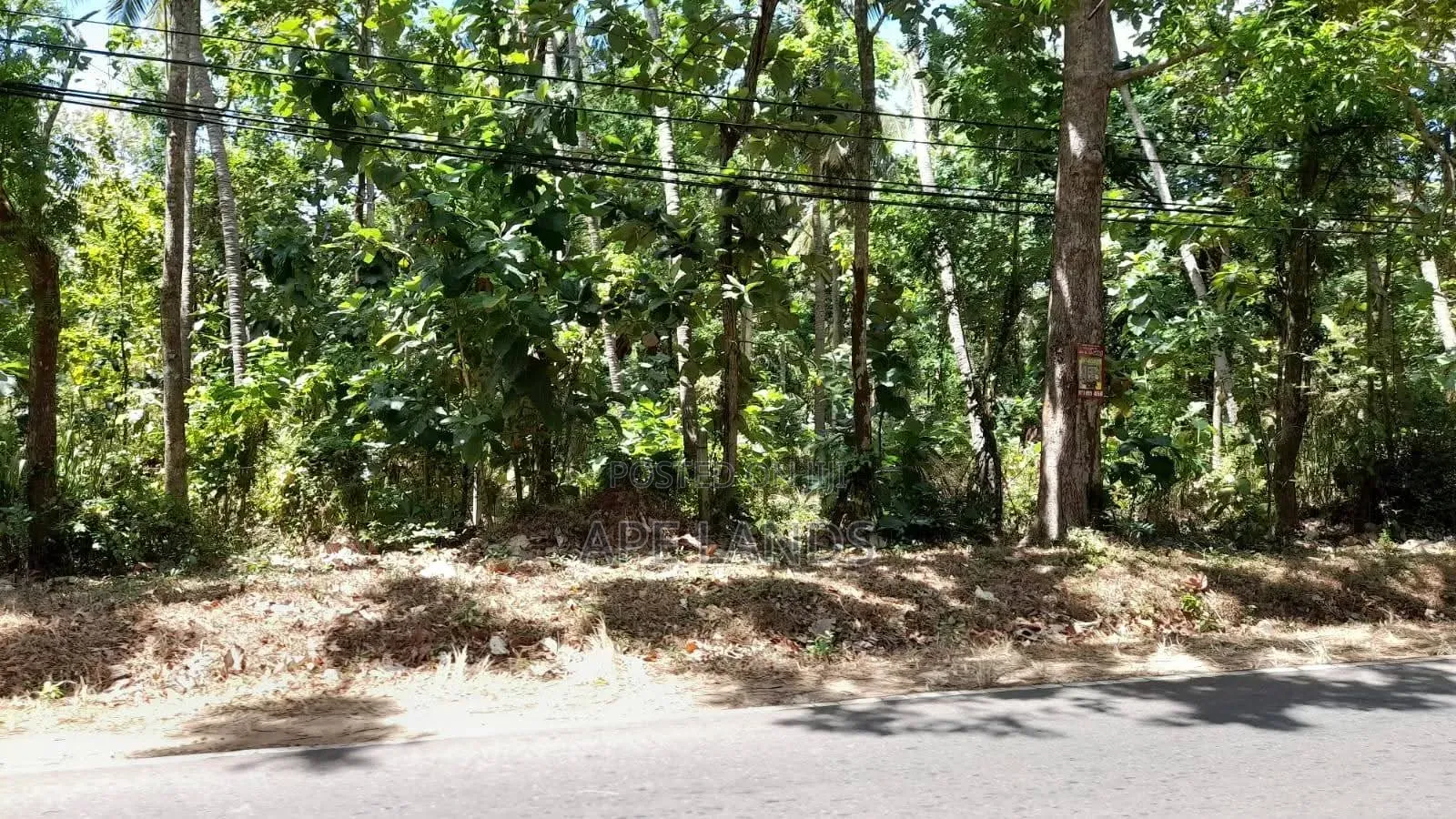 Land for Sale in Sigirya