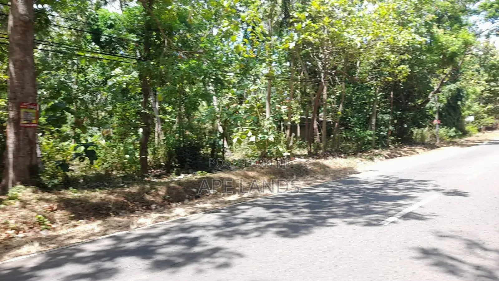 Land for Sale in Sigirya