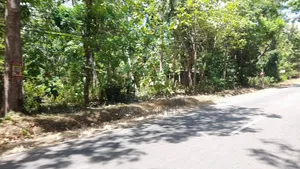 Land for Sale in Sigirya