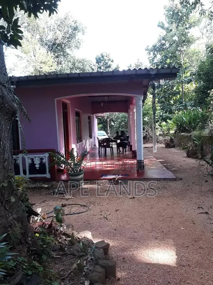 Land for Sale in Sigirya
