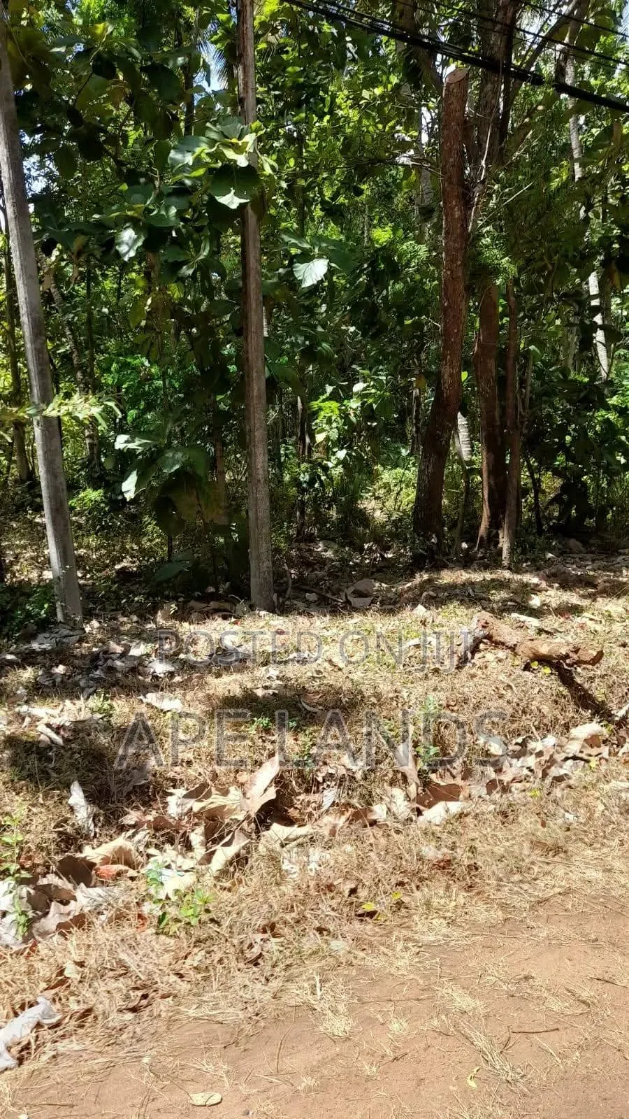 Land for Sale in Sigirya