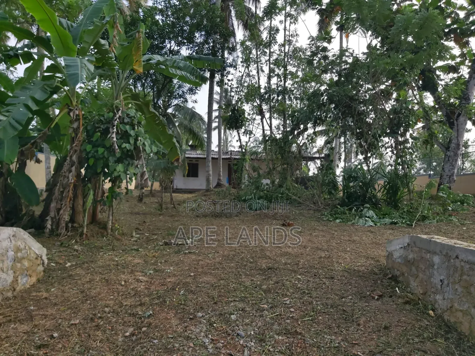 Land for Sale in Beruketiya, Homagama