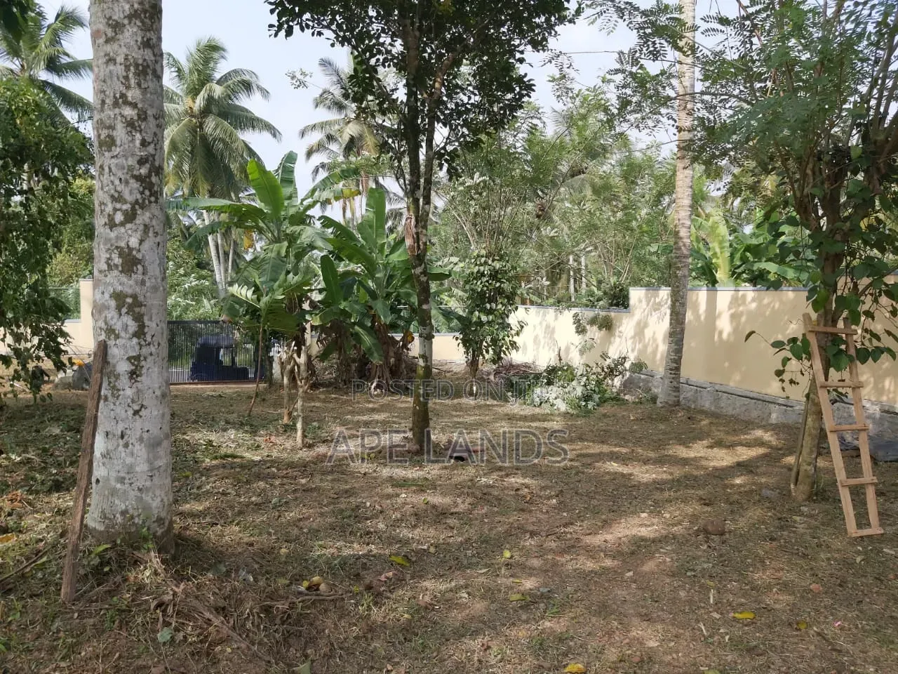 Land for Sale in Beruketiya, Homagama