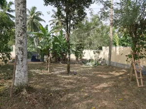 Land for Sale in Beruketiya, Homagama