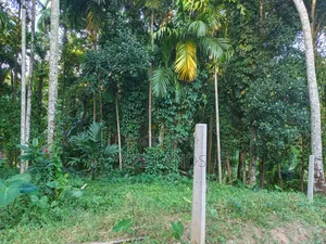 Land for Sale in Bope