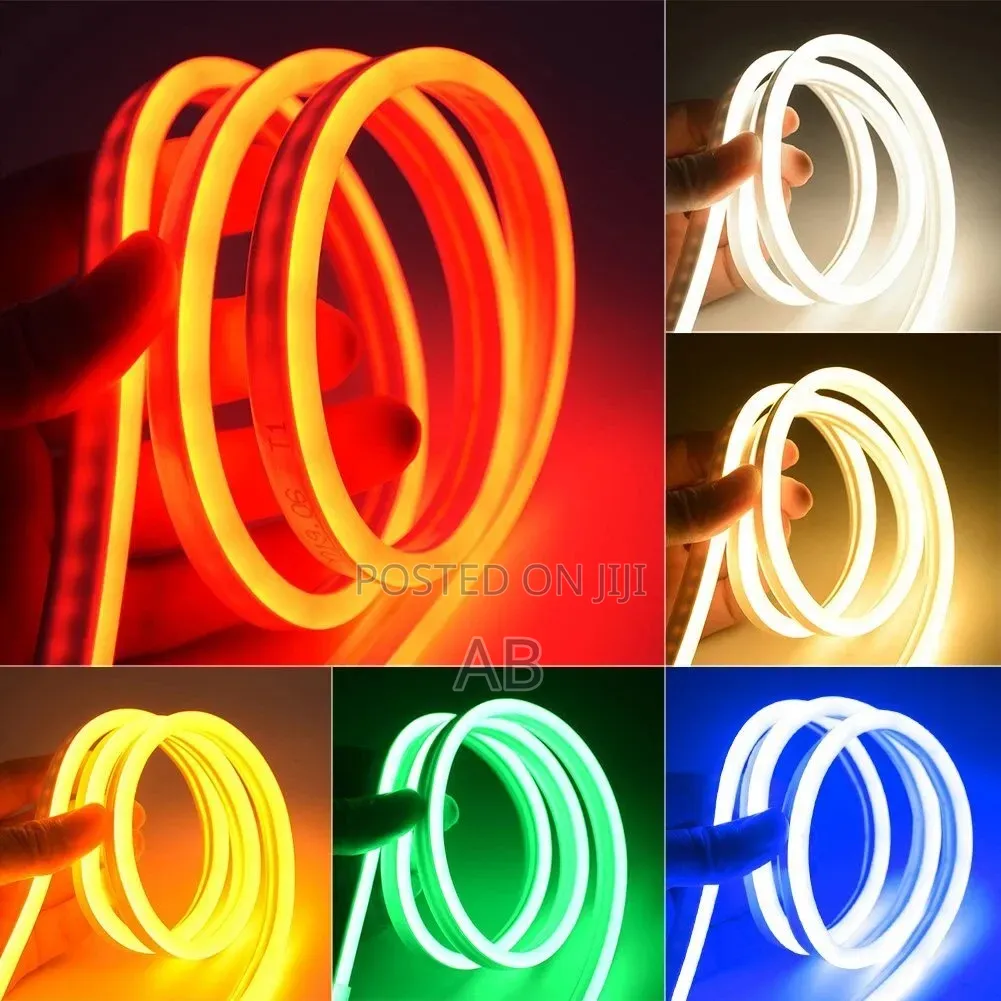12v Dc Neon Strip Light-5m (P04818)