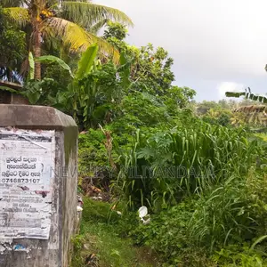 Land for Sale in Bokundara