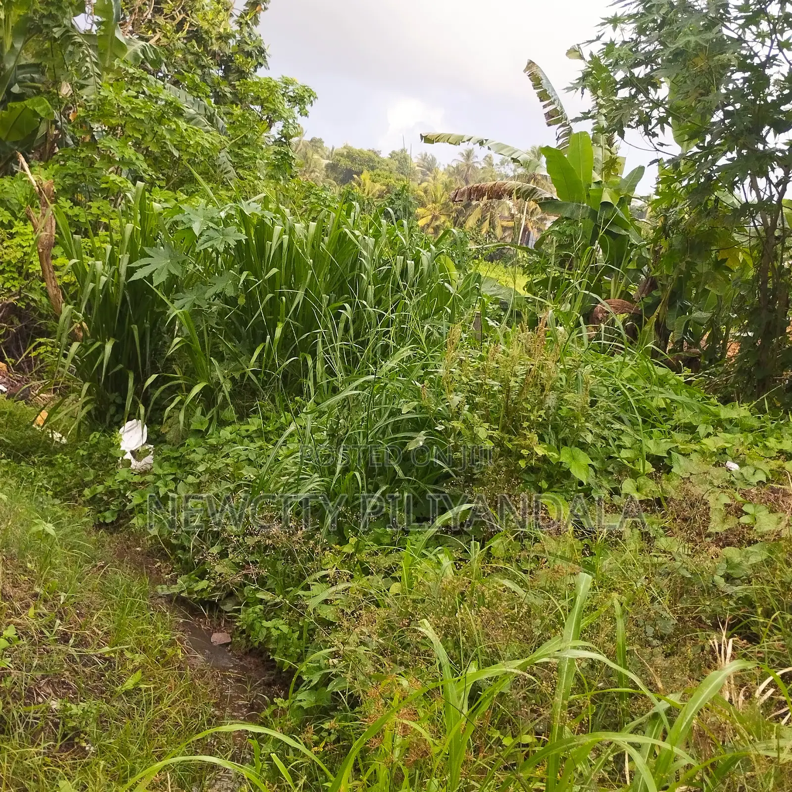 Land for Sale in Bokundara
